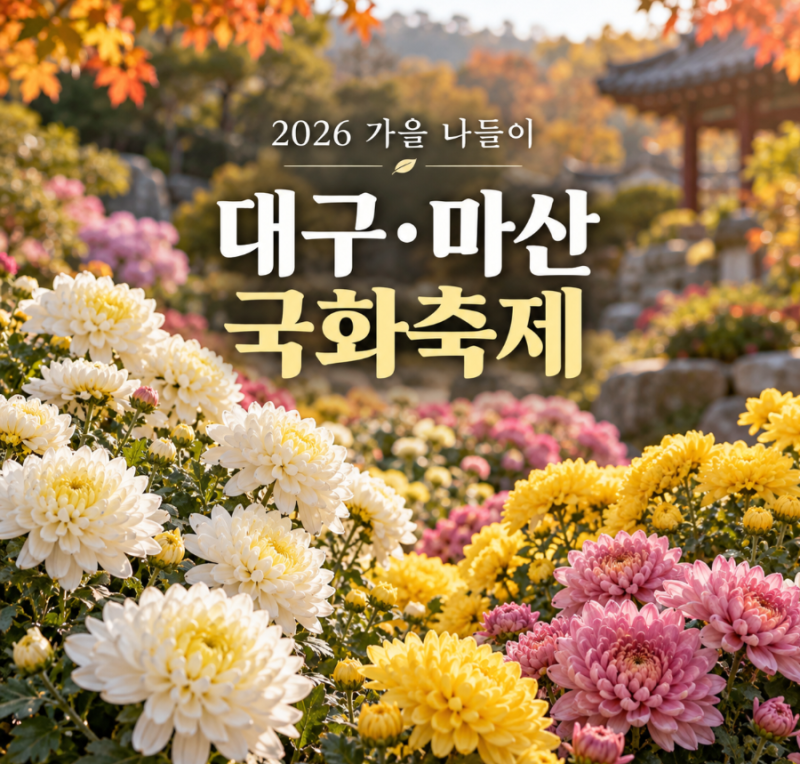 2026 대구 국화전시회·마산 국화축제 일정｜아이와 가을 꽃나들이