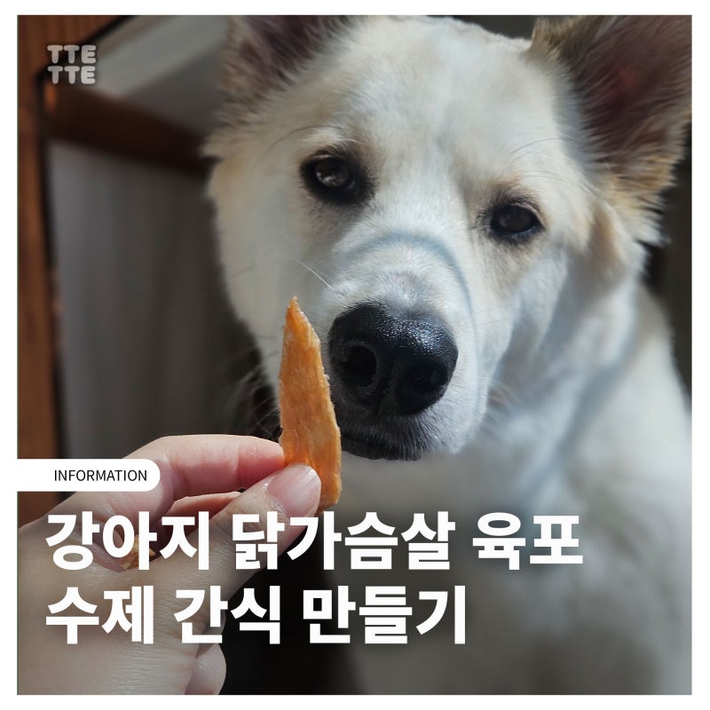 강아지 닭가슴살 육포 수제 간식 만들기 애견 초보도 가능!