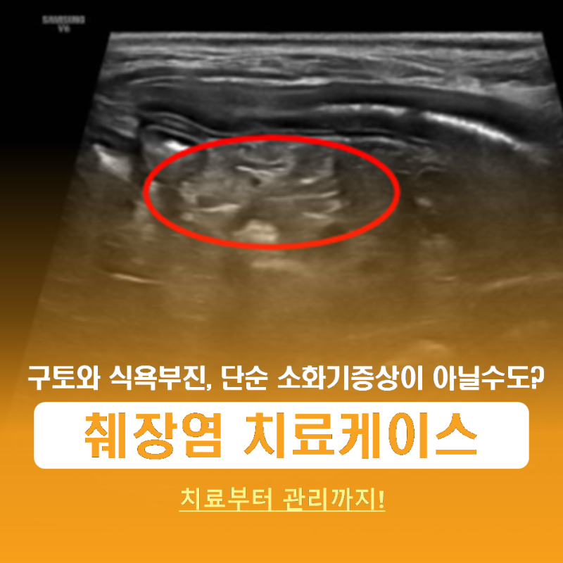 [의정부 동물병원] 강아지 구토 증상 췌장염 치료 케이스 : 췌장염 무사히 극복한 사연