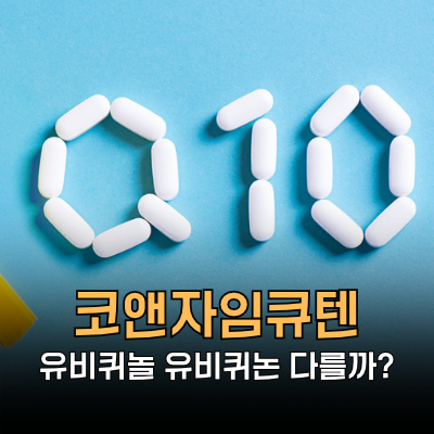 코앤자임큐텐 코큐텐 유비퀴놀 유비키논은 무엇이 다를까? 권장량 복용시간ㅣ망고의 성분도....