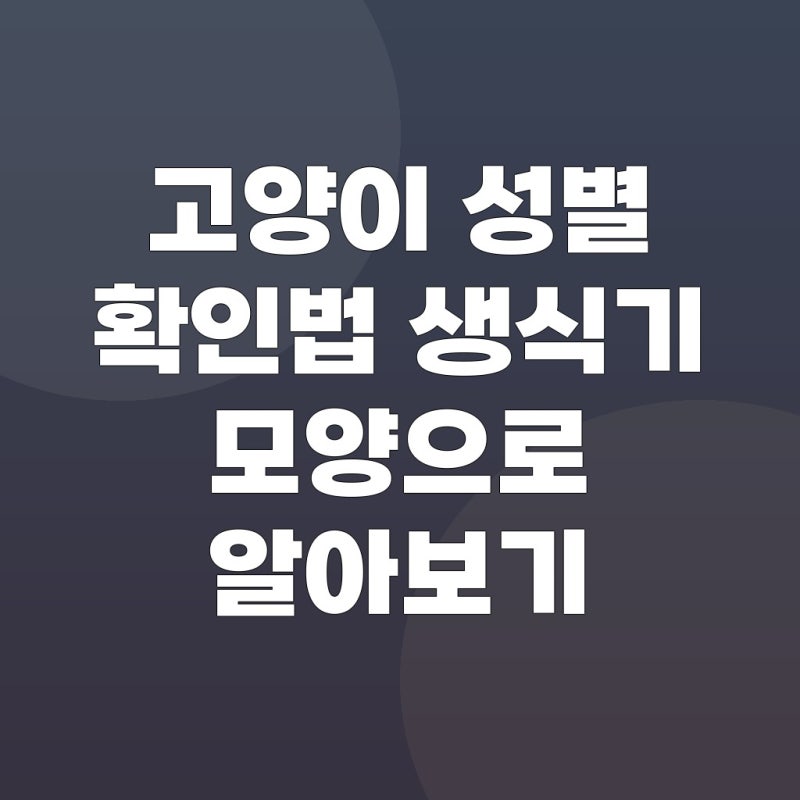 고양이 성별 확인법 생식기 모양으로 알아보기