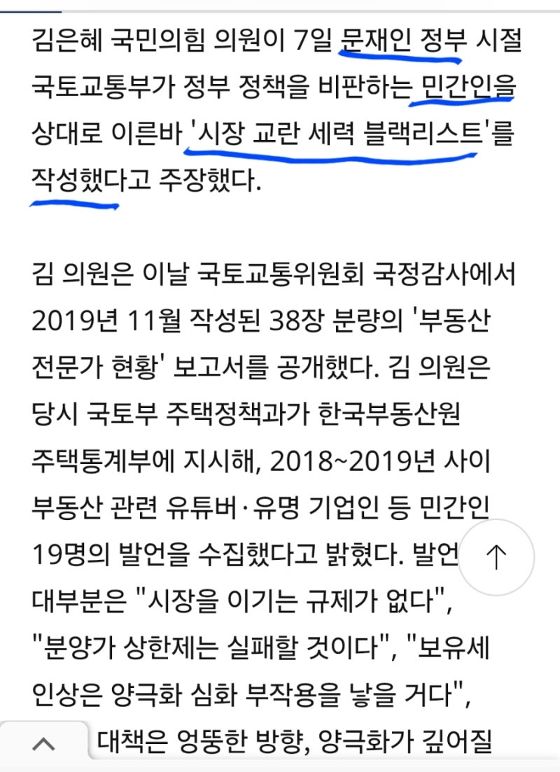 김은혜 "[(文정부), 부동산 정책 비판 (민간인 19명 블랙리스트) 작성]"