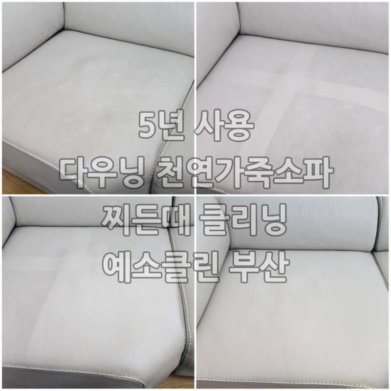 울산가죽소파청소 5년 사용한 천연가죽소파 얼룩, 클리닝으로 회복 가능해요.