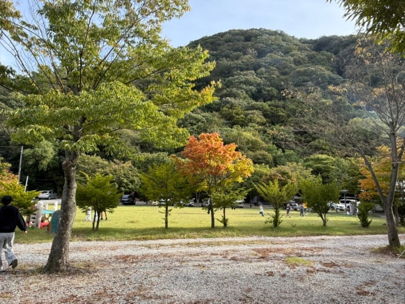 전주 근교 캠핑장 추천 | 아이와 가기 좋은 완주 동상힐링캠핑장 계곡 사이트, 후기 시설