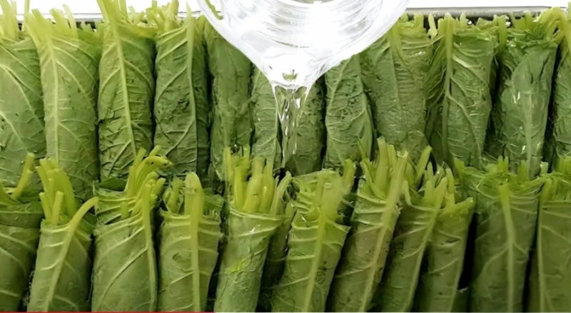간장·설탕·식초 없이 1년 간다고? 놀라운 깻잎 삭히기 비법｜삭힌 깻잎찜까지