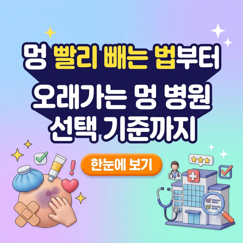 멍 빨리 빼는 법부터 오래가는 멍 병원 선택 기준까지 한눈에 보기