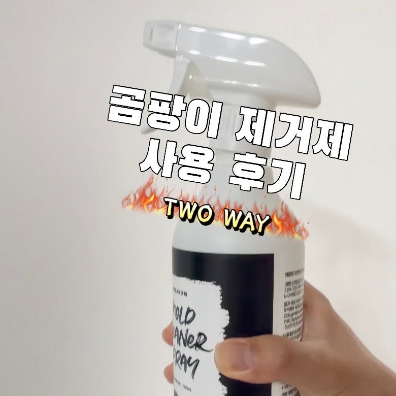 에코후레쉬 곰팡이제거제, 욕실 청소와 벽지용 선택법
