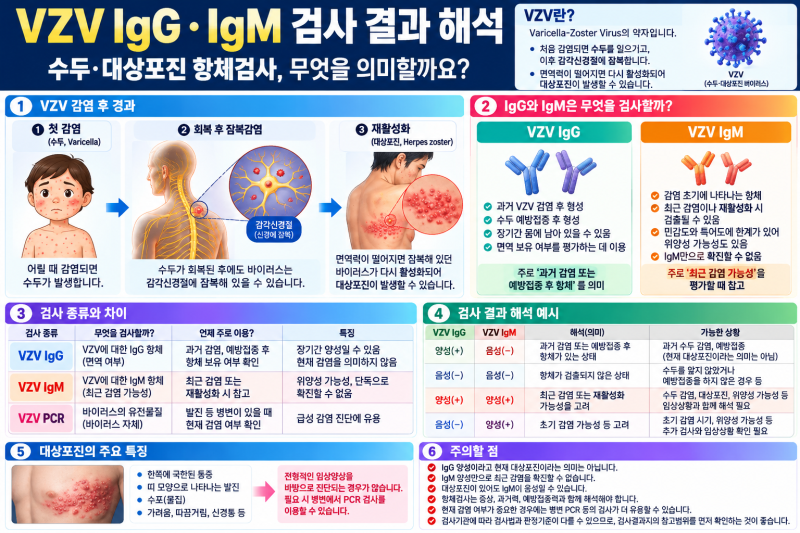 VZV IgG 양성·IgM 양성이면?｜수두·대상포진 항체검사 결과 해석