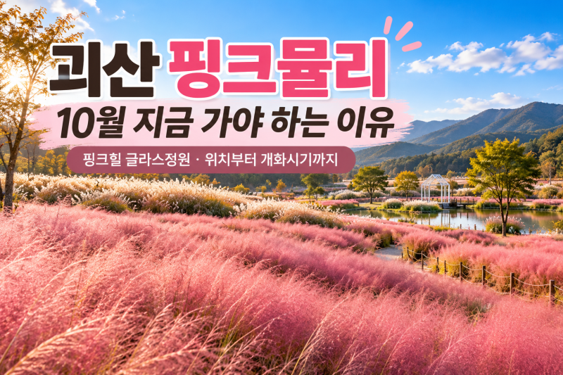 괴산 핑크뮬리, 10월 지금 가야 하는 이유…핑크힐 글라스정원 위치·개화시기 총정리