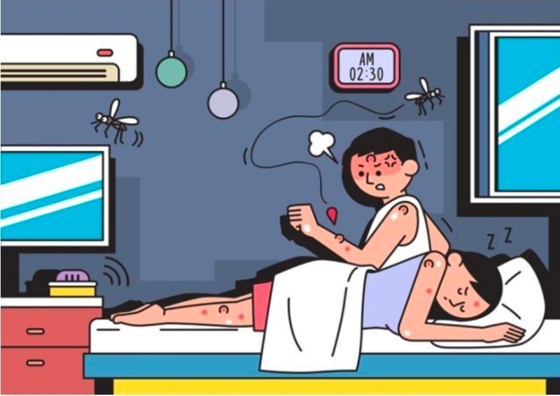 깜깜한 밤 모기 소리 들릴 때, 방 불 대신 스마트폰을 켜야 하는 이유 (모기 전문가 팁)