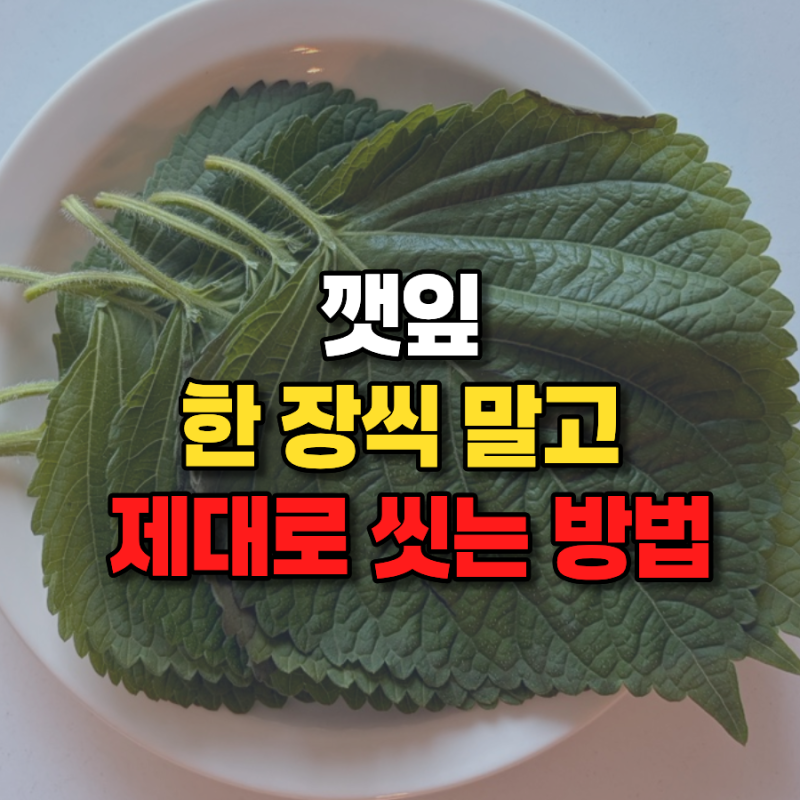 “깻잎 한 장씩 씻기 귀찮다고 뭉쳐 씻으세요?” 제대로 씻는 방법