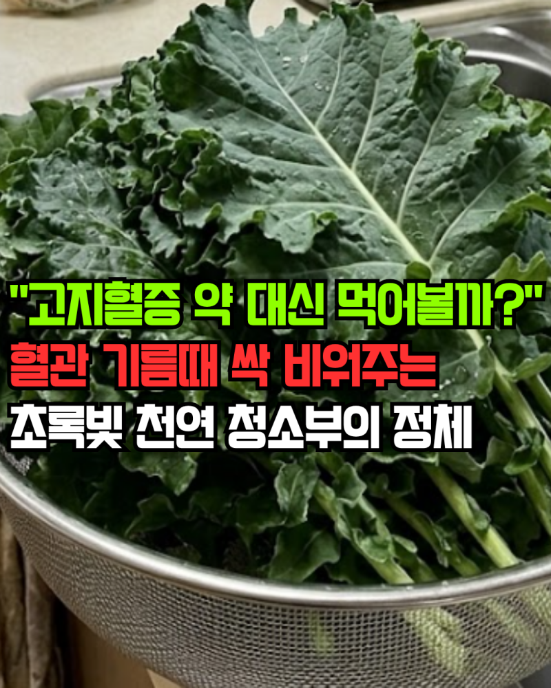 "고지혈증 약 대신 먹어볼까?" 혈관 기름때 싹 비워주는 초록빛 천연 청소부의 정체