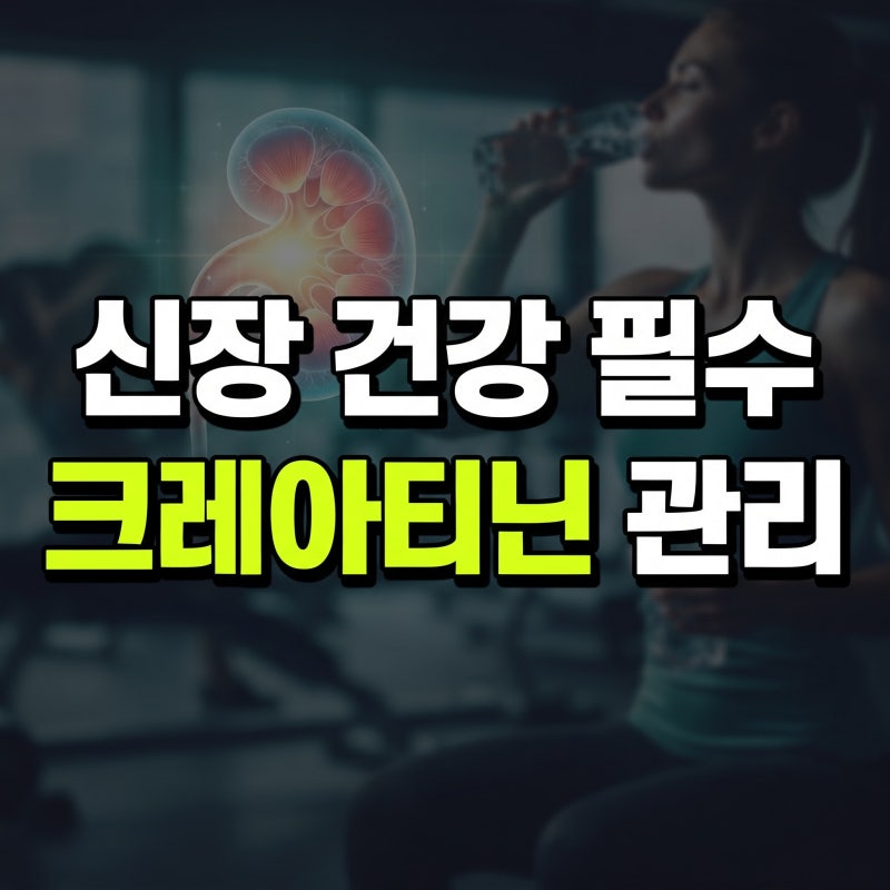 크레아티닌 수치 낮추는 법: 신장 건강을 지키는 생활 속 관리 가이드