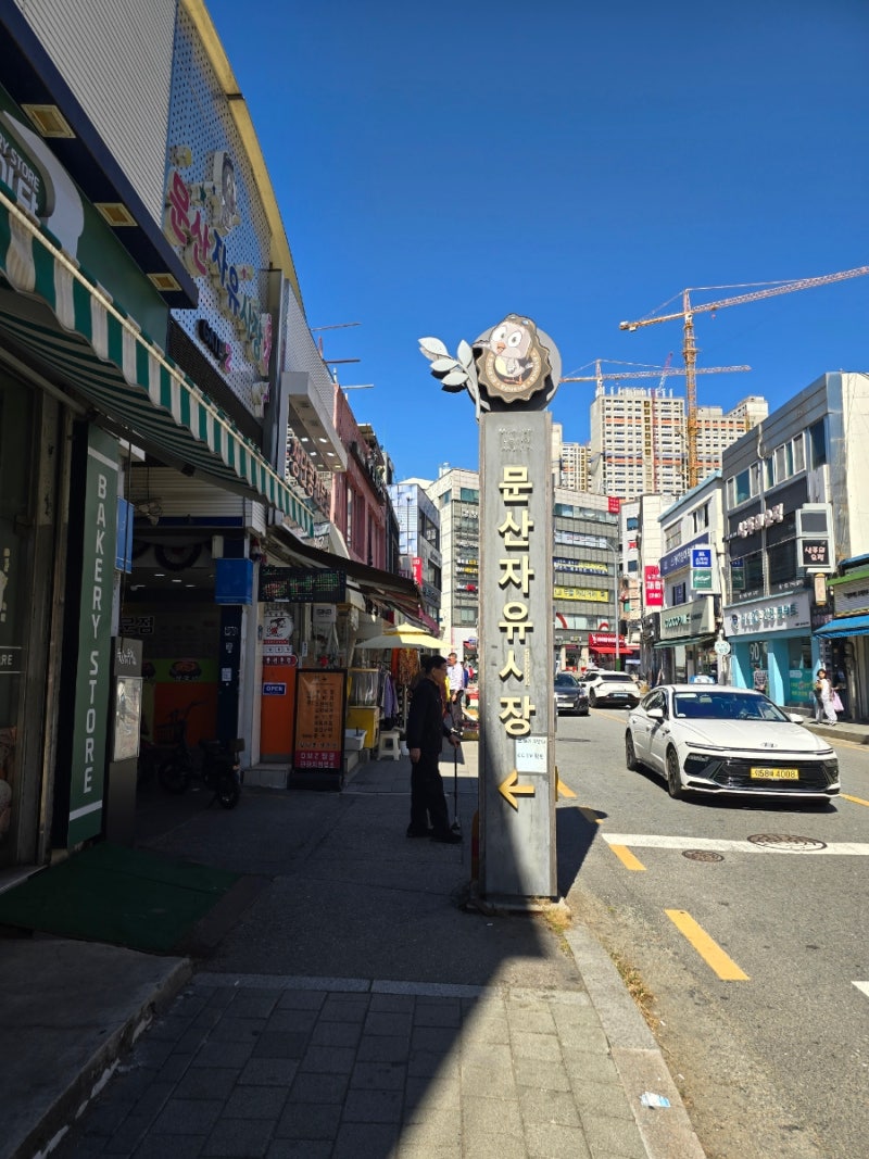 파주 문산 자유시장 DMZ 평화관광(제3땅굴, 도라전망대, 통일촌) 도라전망대에서 개성공단, 개....