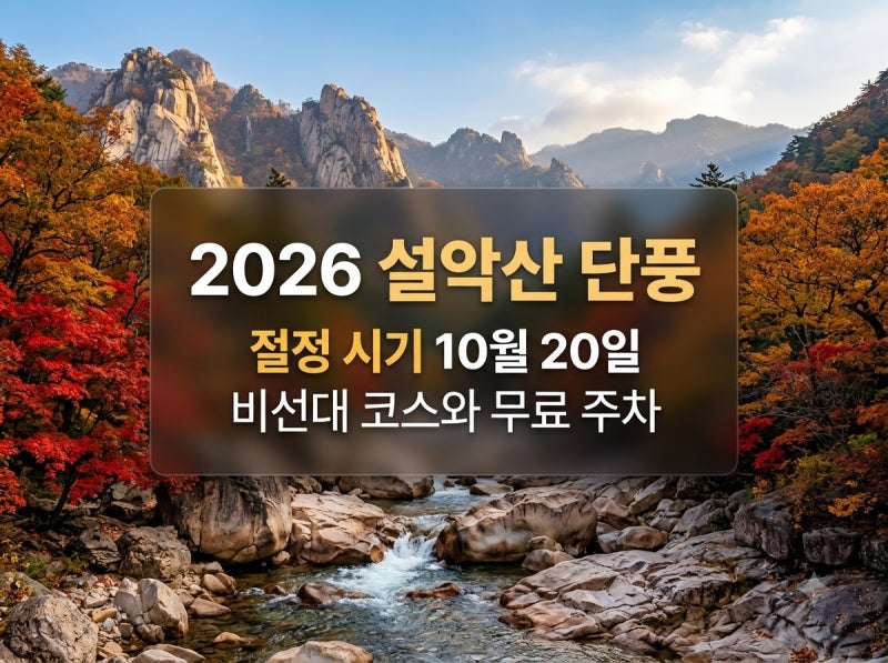 설악산 단풍 절정 시기 10월 20일, 비선대 코스 소요시간 주차 총정리