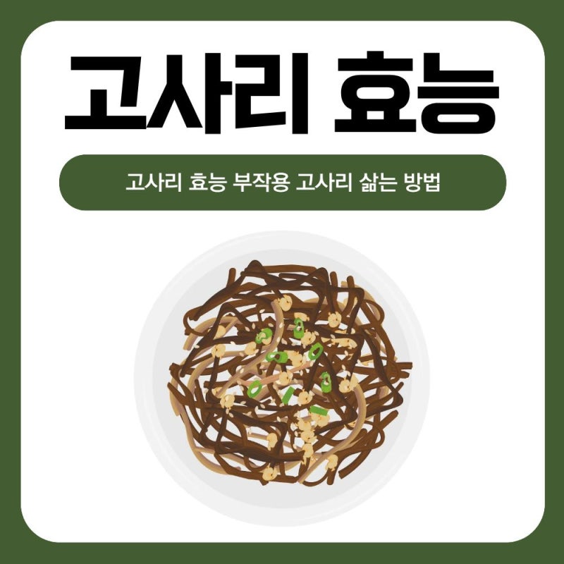 먹기 전에 꼭 확인하세요! 고사리 효능 부작용 삶는 방법