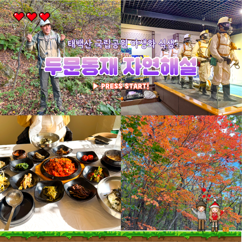 태백시 가볼만한곳 강원도 가을 단풍 구경 명소 여행 태백산 국립공원 두문동재 자연해설
