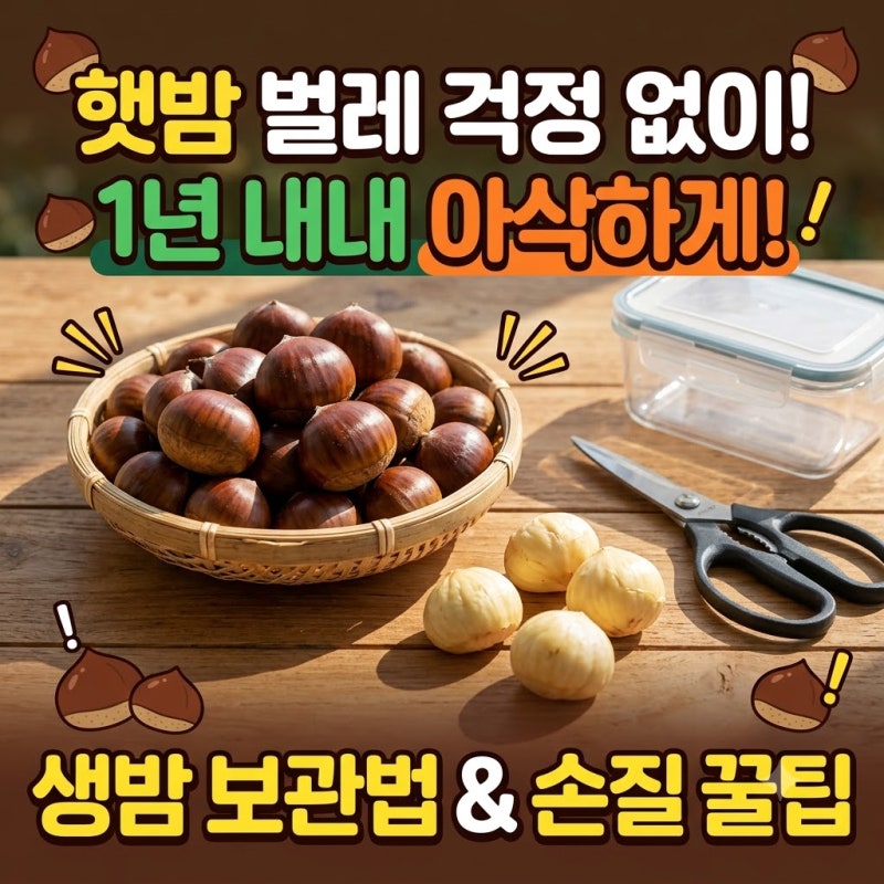 햇밤 벌레 걱정 없이 1년 내내 아삭하게! 생밤 보관법 & 손질 꿀팁 공유해요