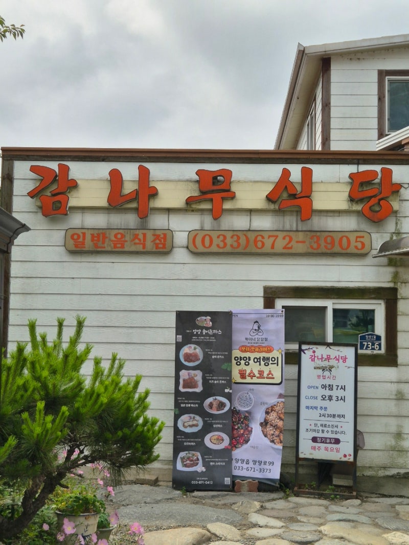 양양맛집 감나무식당 황태해장국 완뚝할수밖에 없는 맛있는 맛♡