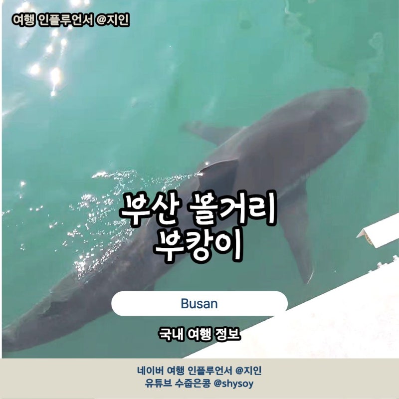 부산 부캉이 위치 북항친수공원 부캉이 이디야커피 후기