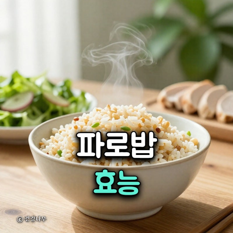 파로밥 효능, 다이어트 식단에 도움 될까?