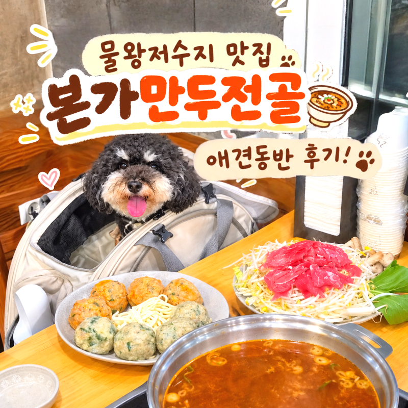 시흥 물왕저수지 맛집｜애견동반식당 [본가만두전골 전문점] 강아지랑 드디어! 굴림만두 후....