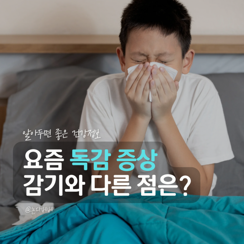요즘 독감 증상 순서 A형 B형 차이와 감기 구별법