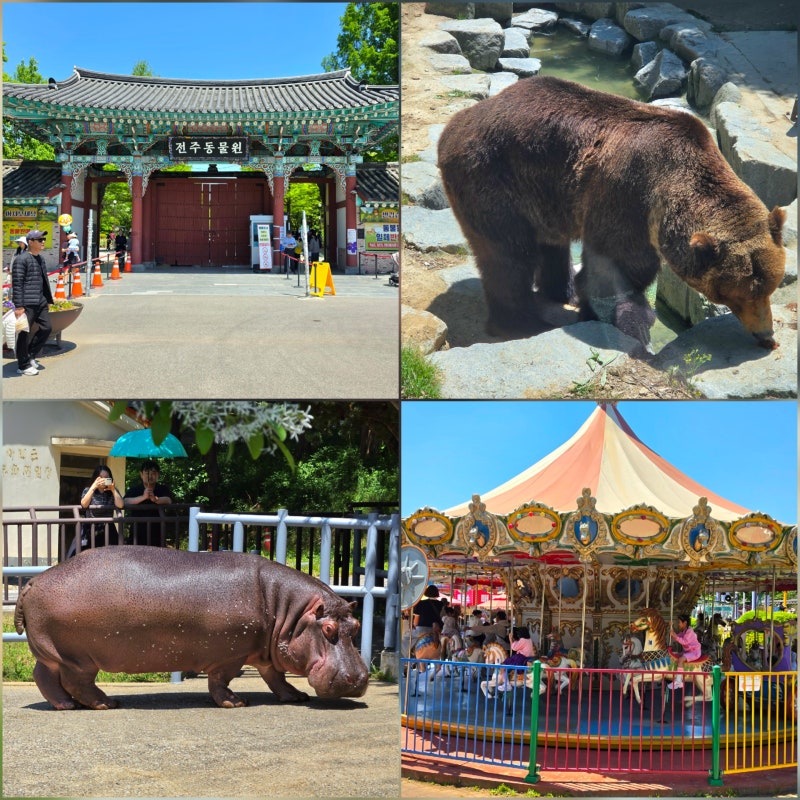 전주 아이와 가볼만한곳 전주동물원 드림랜드 가족여행 추천