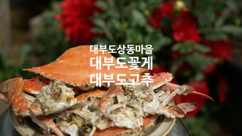 한국인의밥상 대부도 상동마을 고추 꽃게 밥상