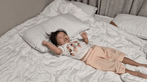 비비드슬립 호텔침구 사계절이불로 사용해본 솔직 후기