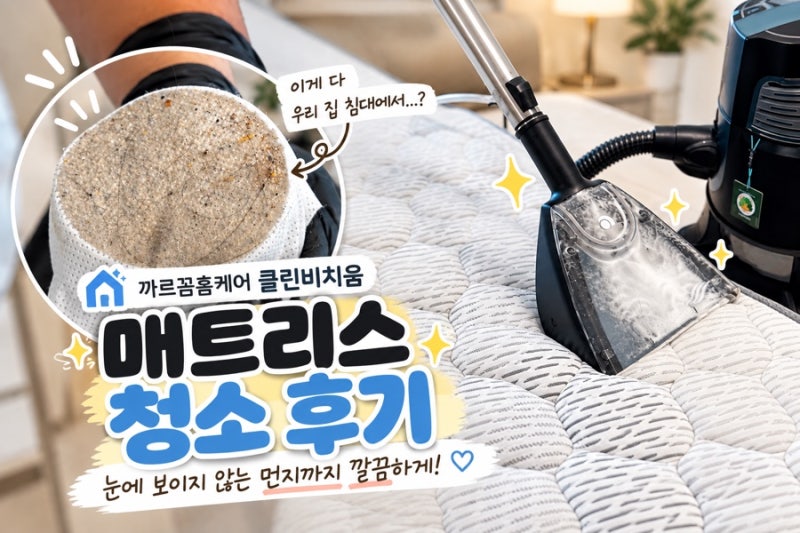 김포 매트리스청소｜2년 만에 청소했더니 충격적인 먼지량! 까르꼼 홈케어 클린 비치움 후기