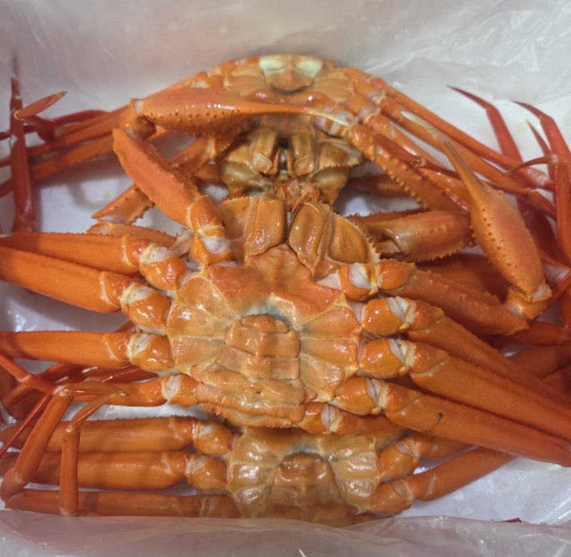 포항 구룡포 박달수산 대게·홍게 택배, 산지 직송