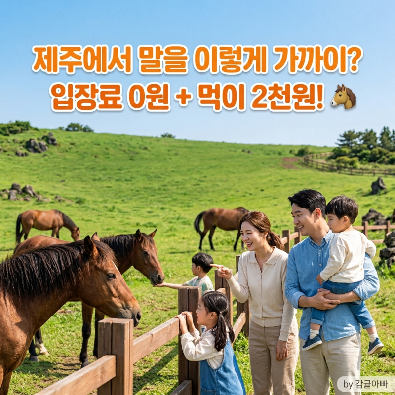제주 아이와 가볼만한곳 말방목공원｜무료로 말 보고 2천원에 먹이주기 체험
