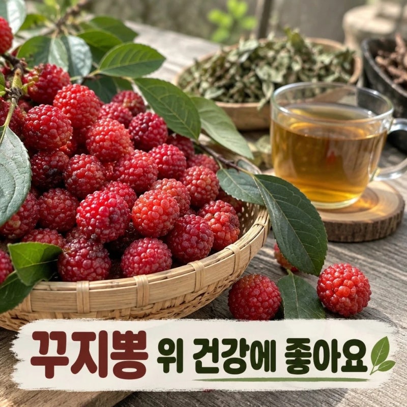 [꾸지뽕 효능] 위 건강에 좋은 꾸지뽕 영양성분. 올바른 섭취법. 부작용 총정리