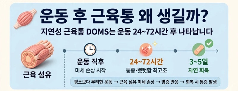 격한 운동 후 근육통 위치별 파스 붙이는 곳｜온파스 냉파스·스트레칭 제대로 하는 법