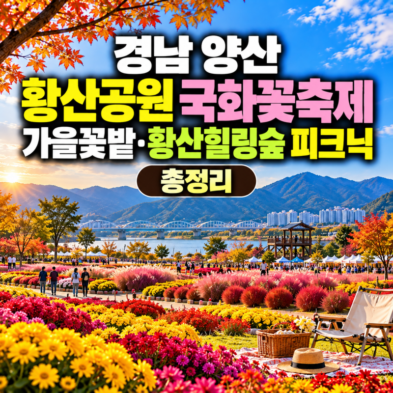 경남 양산 황산공원 국화꽃축제·가을꽃밭·황산힐링숲 피크닉 총정리