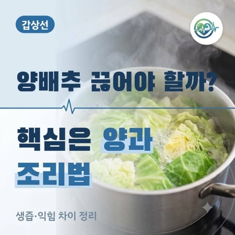 양배추 갑상선에 정말 나쁠까? 연구 123편이 말해준 결론