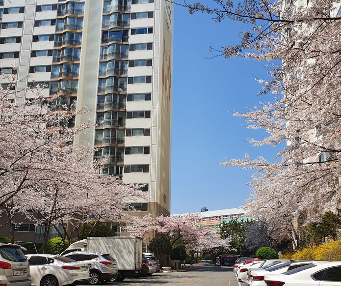 5억대 부산 아파트 추천 TOP 3, 몸테크부터 신축까지
