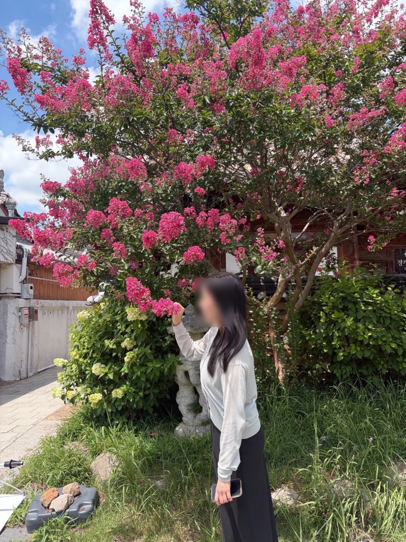 군산 전주 1박 2일 여행 코스｜서울 출발 커플 데이트 맛집·카페·숙소 총정리