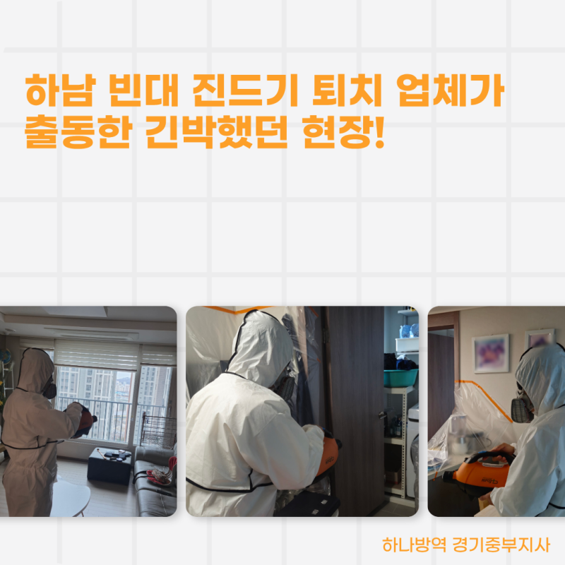 하남 빈대 진드기 퇴치 업체가 출동한 긴박했던 현장!