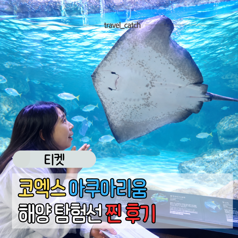 코엑스 아쿠아리움 할인코드 팁 가격 비교 해양탐험선 후기