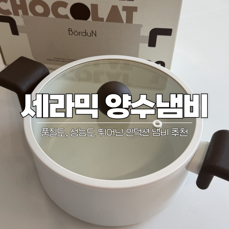 보오든 세라믹 양수냄비 20 추천 인덕션 냄비 실사용 후기
