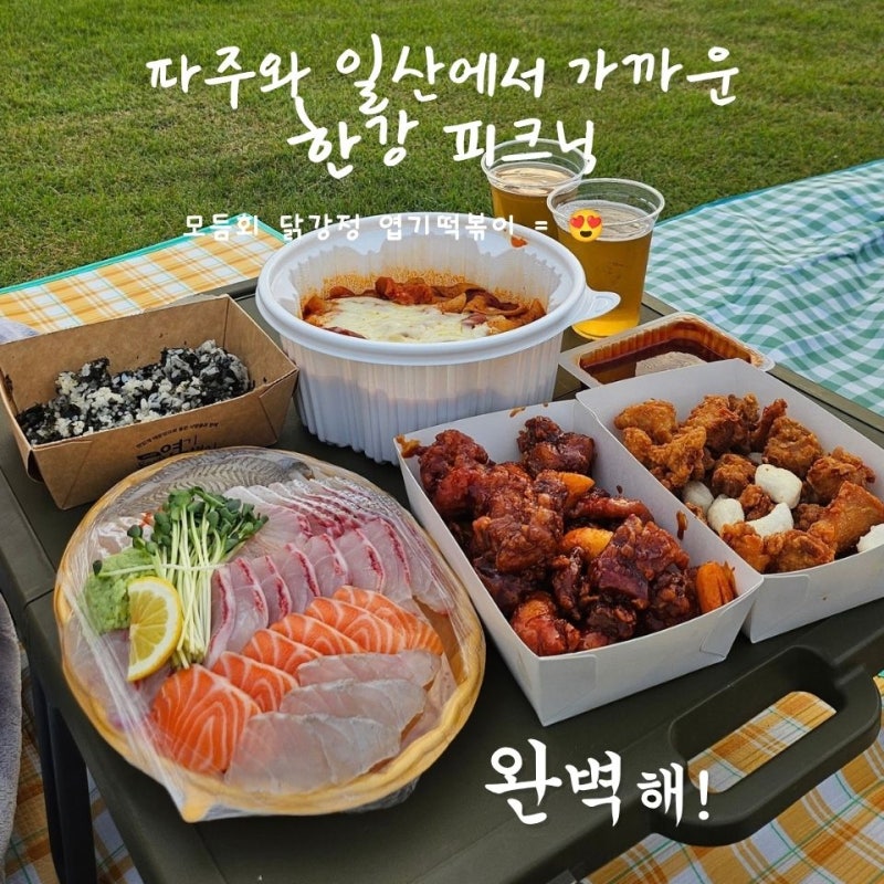 파주 일산 근교 한강 나들이｜치맥에 회크닉까지 제대로 즐긴 한강 피크닉