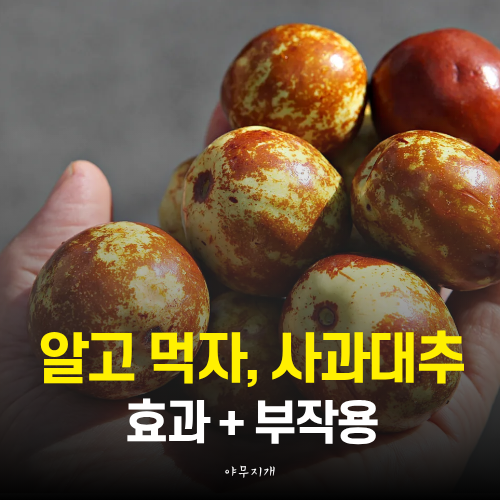 모르고 먹으면 독, 사과대추 효능 7가지 (+효과 부작용)