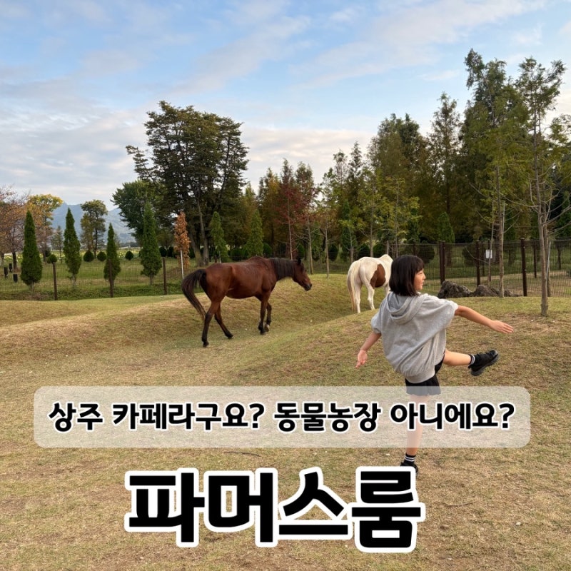 상주 아이와 가볼만한 곳 파머스룸, 동물체험까지 가능한 상주 대형 카페