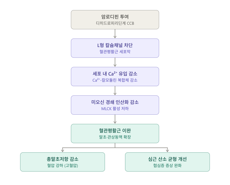 암로디핀(Amlodipine) / 노바스크.고혈압.협심증.본태성고혈압