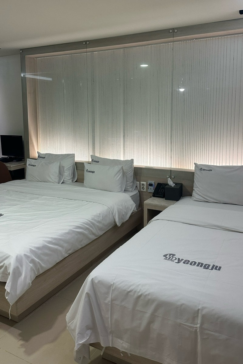 [영주 숙소] 객실 내 사우나와 스파, 조식까지 완벽했던 경북 영주 "영주온천관광호텔 VIP 룸" ....