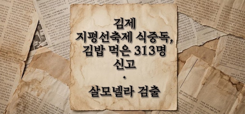 김제 지평선축제 식중독 313명, 김밥 살모넬라 검출 역학조사 총정리