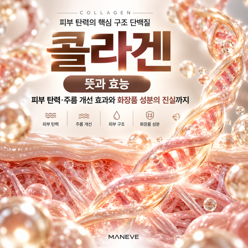 콜라겐이란? 뜻과 효능부터 피부 탄력 주름 개선 효과와 화장품 성분의 진실까지