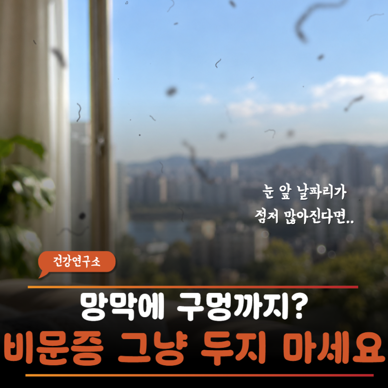 "비문증 다 괜찮은 게 아니다"눈앞 날파리가 갑자기 늘고 번쩍거린다면 망막박리 전조증상 ....
